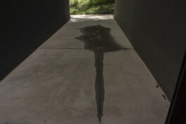 allcitiesarebeautiful.com