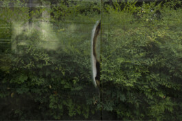 allcitiesarebeautiful.com