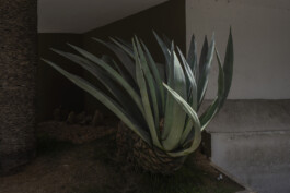 allcitiesarebeautiful.com