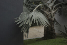 allcitiesarebeautiful.com