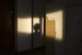 allcitiesarebeautiful.com