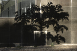 allcitiesarebeautiful.com