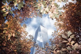 allcitiesarebeautiful.com