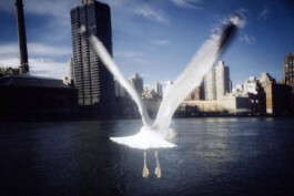 allcitiesarebeautiful.com