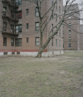 allcitiesarebeautiful.com