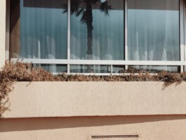 allcitiesarebeautiful.com