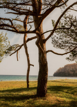 allcitiesarebeautiful.com