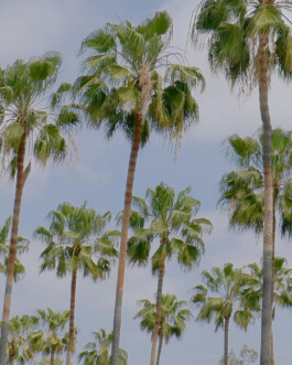 allcitiesarebeautiful.com
