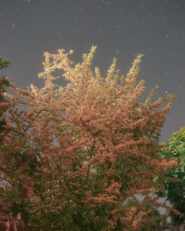 allcitiesarebeautiful.com