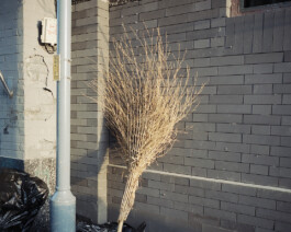 allcitiesarebeautiful.com