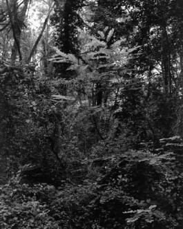 allcitiesarebeautiful.com