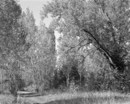 allcitiesarebeautiful.com