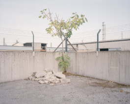 allcitiesarebeautiful.com