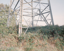 allcitiesarebeautiful.com