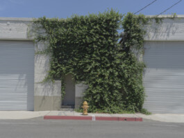 allcitiesarebeautiful.com
