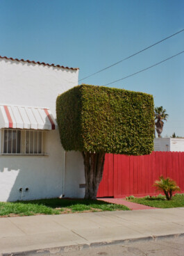 allcitiesarebeautiful.com