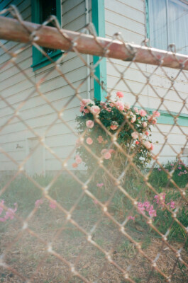 allcitiesarebeautiful.com