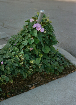 allcitiesarebeautiful.com