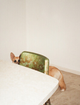 allcitiesarebeautiful.com