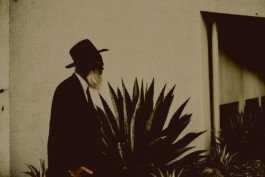 allcitiesarebeautiful.com