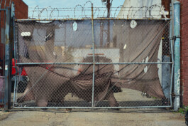 allcitiesarebeautiful.com