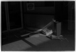 allcitiesarebeautiful.com