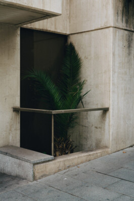 allcitiesarebeautiful.com