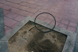 allcitiesarebeautiful.com