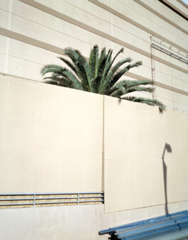 allcitiesarebeautiful.com