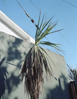 allcitiesarebeautiful.com