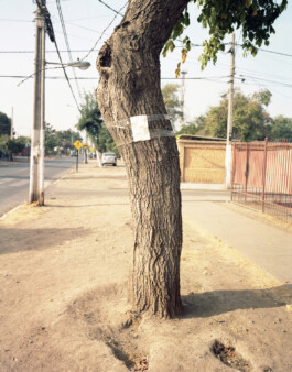 allcitiesarebeautiful.com